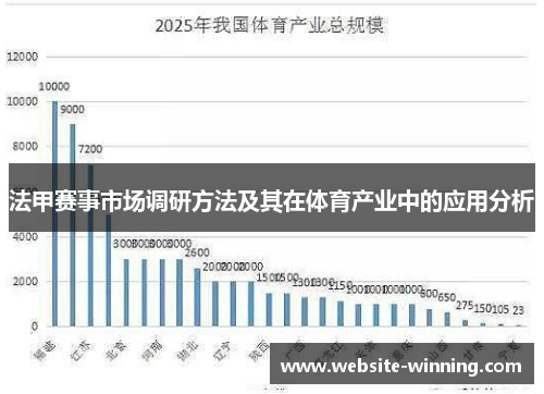 法甲赛事市场调研方法及其在体育产业中的应用分析