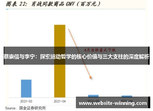 蔡崇信与李宁：探索运动哲学的核心价值与三大支柱的深度解析