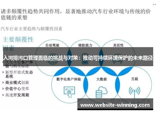 入河排污口管理面临的挑战与对策：推动可持续环境保护的未来路径
