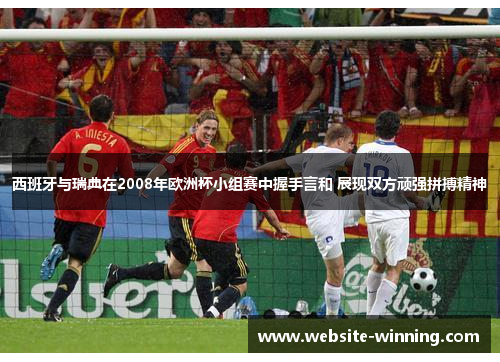西班牙与瑞典在2008年欧洲杯小组赛中握手言和 展现双方顽强拼搏精神